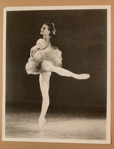 Ballerina ungherese - ballerina,